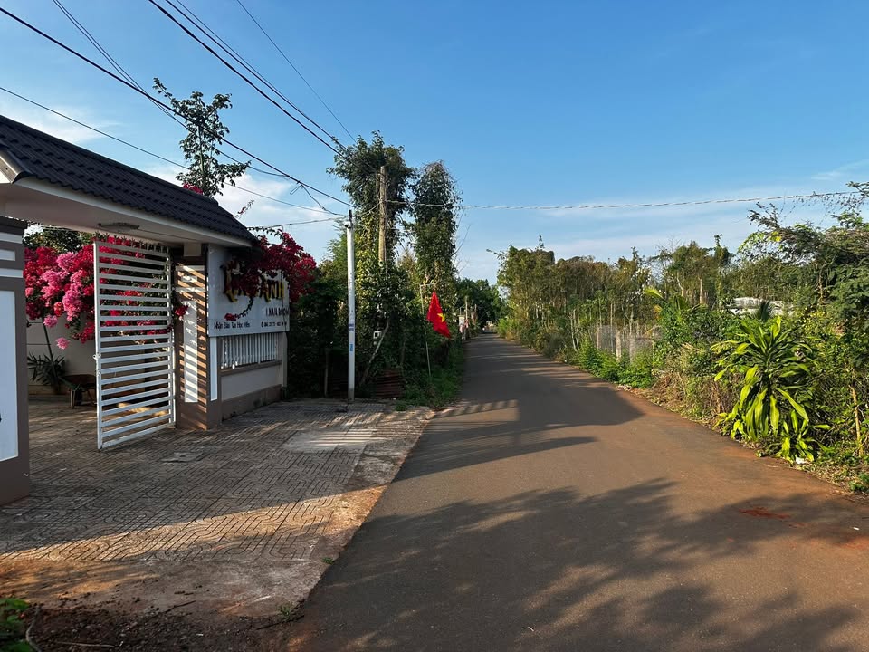 Nhà 543m² Ấp 14 Xuyên Mộc - 3 Tỷ 5 Full Nội Thất, Sẵn Sàng Dọn Vào Ở Ngay