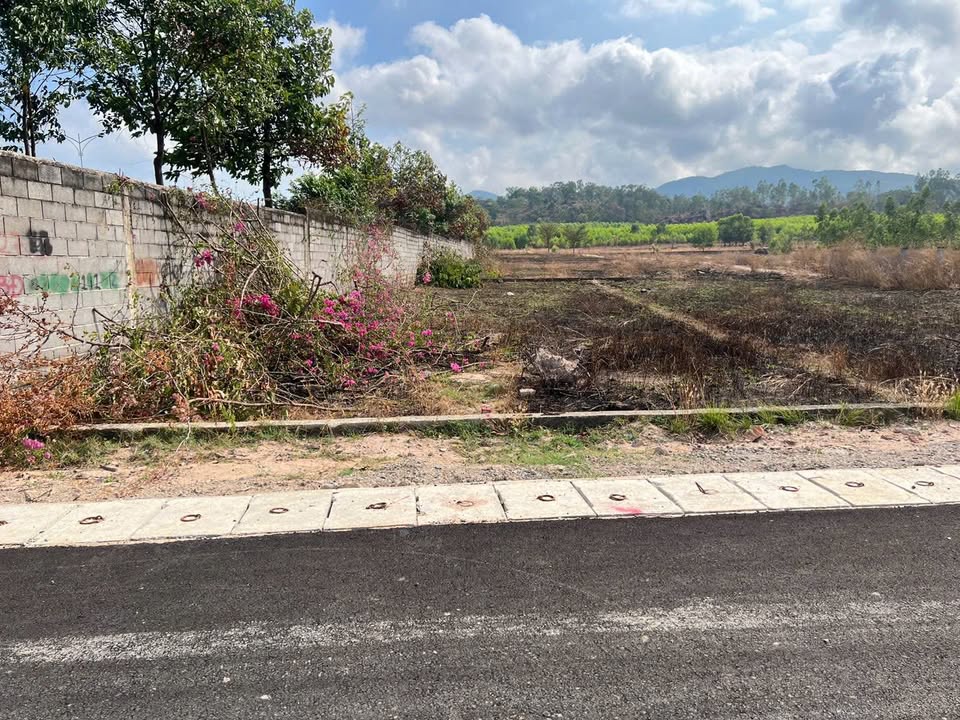 Đất Nền Phước Hòa - Phú Mỹ 200m² (5x40m) - Sổ Đỏ Chính Chủ - Giá Đầu Tư 1.7 Tỷ