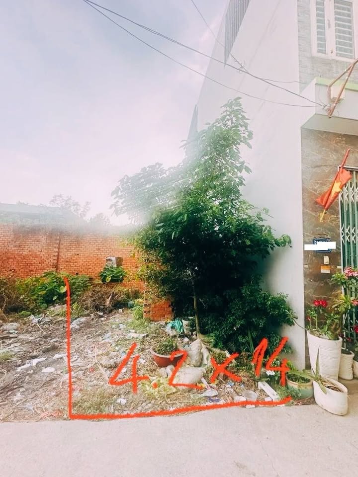 Bán Đất An Phú Đông Q12 - 60m² - Sổ Hồng Riêng - Giá 3 Tỷ