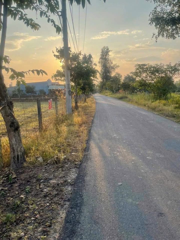 Đất nền Củ Chi 1168m² - Sổ đỏ chính chủ, xây dựng tự do!