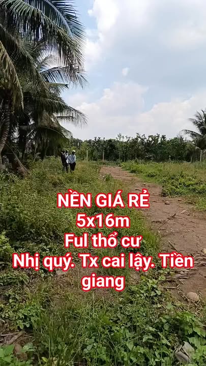 Bán Nền 80m² Phường Nhị Quý, Tiền Giang - Sổ Đỏ Thổ Cư 100%