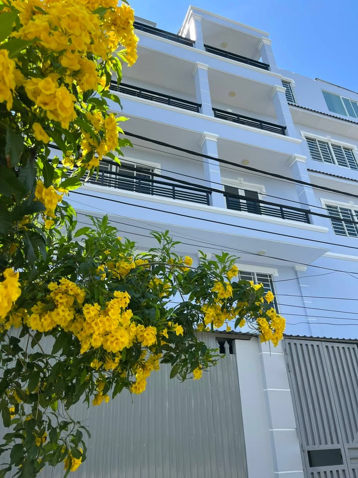 Cho thuê Căn hộ Phường 7, Quận 8 - 4.2 Triệu/Tháng, Sẵn Sàng Cuối Tháng 3