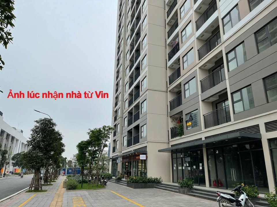 Shophouse Vinhomes Ocean Park 1 - 50.9m² - Kinh doanh đắc lợi - 12.5 tỷ