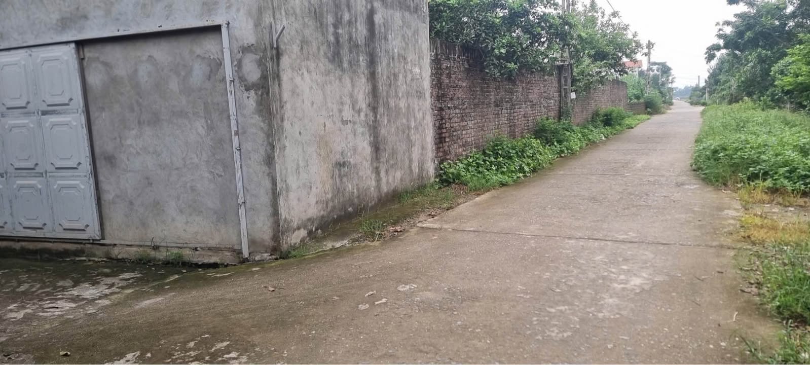 Bán Đất Sen Phương Phúc Thọ 55m² - Sổ Đỏ Sẵn Sàng - Giá 1.2 Tỷ