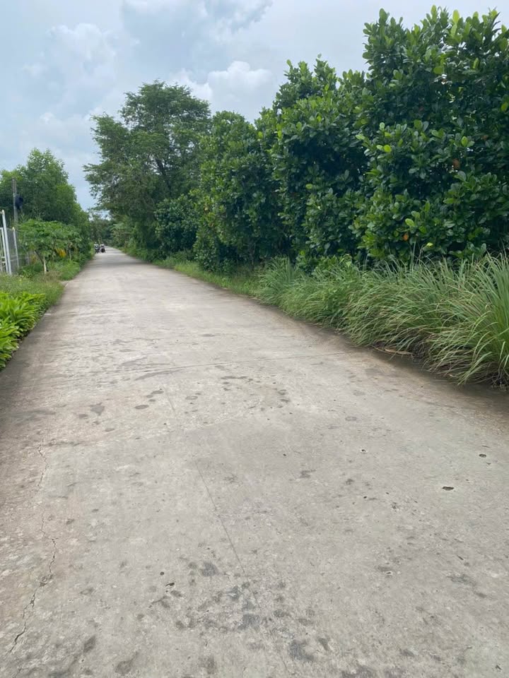 Bán Đất Nông Nghiệp Mặt Tiền Lộ Ô Tô 1.5ha Xã Khánh Lâm, Cà Mau - Sổ Hồng Thổ Cư 300m²