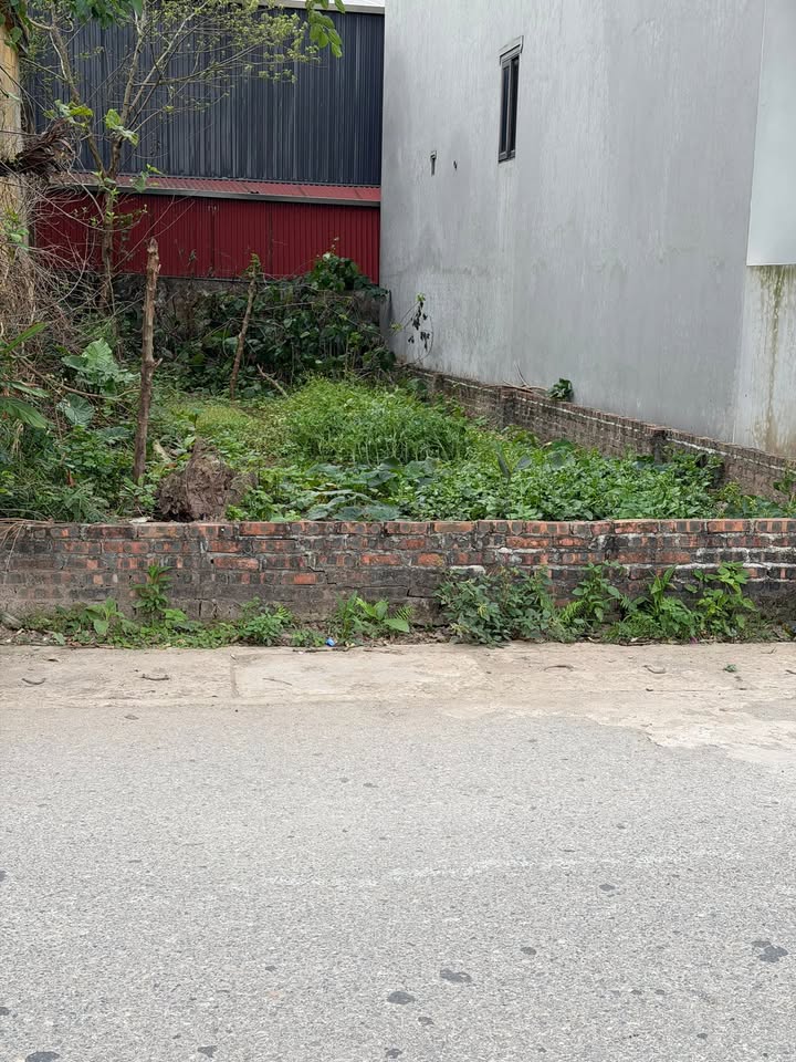 Đất nền Liên Nghĩa Văn Giang 100m² giá 3 tỷ - Sổ đỏ chính chủ