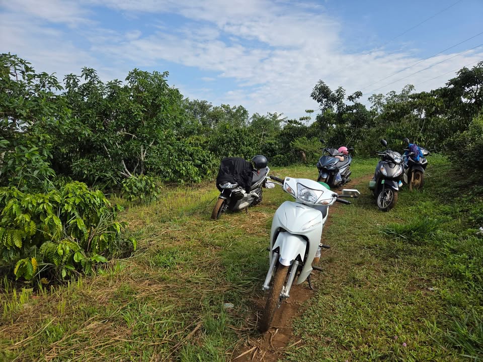 Bán Đất Vườn Bảo Lộc 3000m² - Sổ Hồng Sẵn Sàng - Giá Đầu Tư 1.95 Tỷ