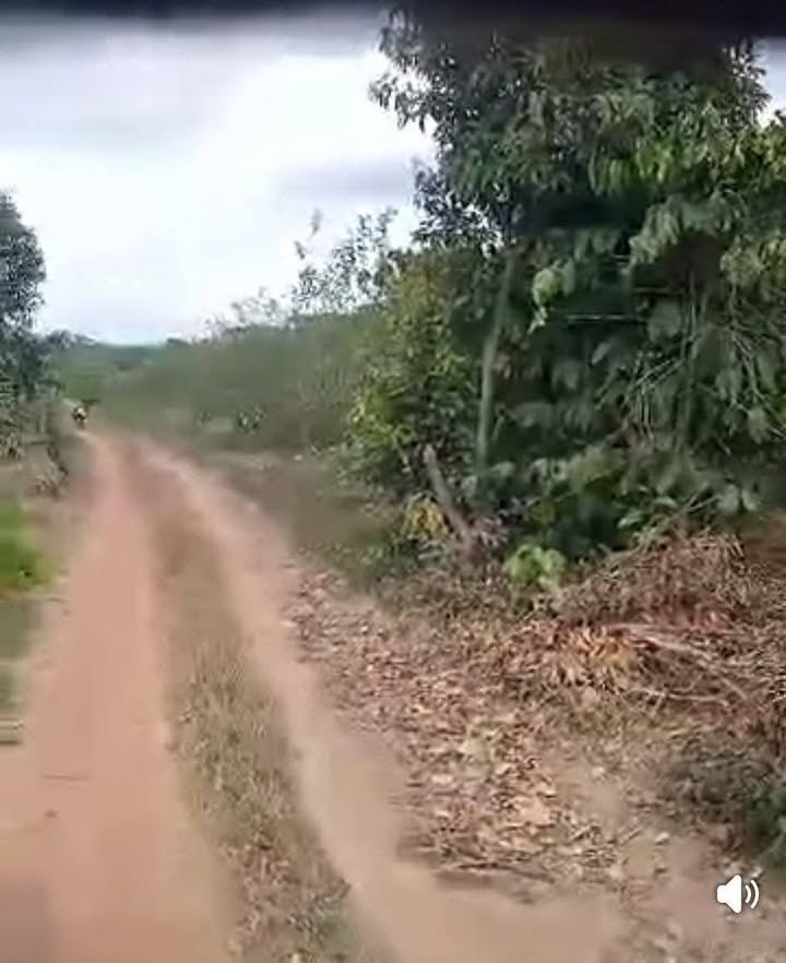 Bán Đất Vườn 3600m² Đức Trọng - Sổ Sẵn Giá 1.4 Tỷ