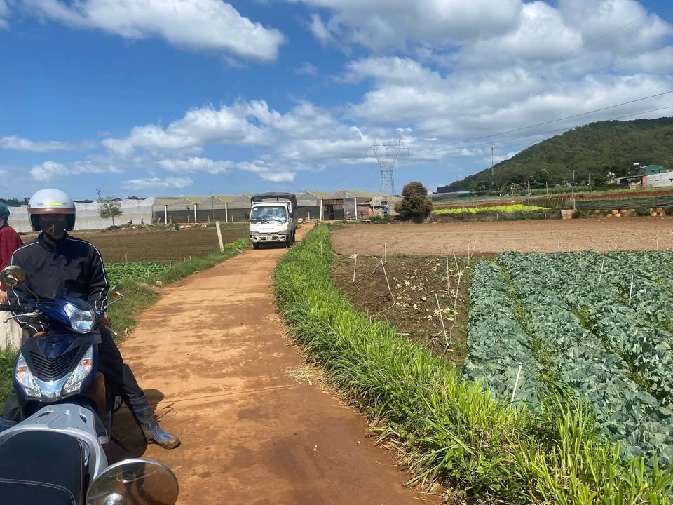 Bán Đất Sào Đạ Ròn, Đơn Dương - 2.1 Sào, Mặt Tiền Bê Tông 50m