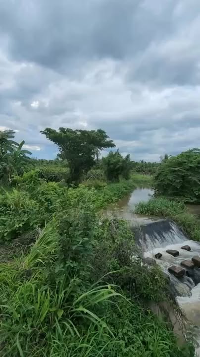 Đất nền Ma Lâm, Hàm Thuận Bắc 1500m² giá 600 triệu - View suối tuyệt đẹp