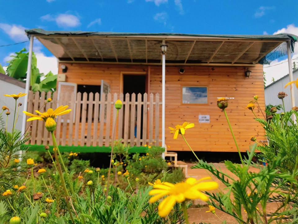 Bán Gấp 4 Homestay Ven Đà Lạt 1102m² - Dòng Tiền Ổn Định