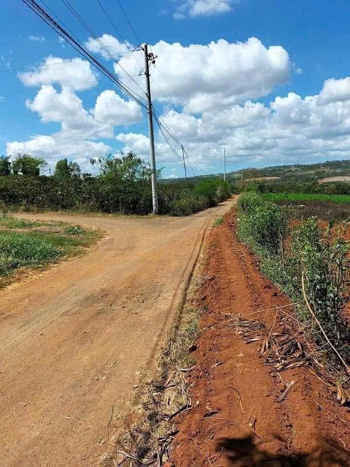 Đất vườn Tân Hội Đức Trọng 8.000m² 4,4 tỷ - Sổ hồng rõ ràng