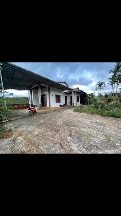 Nhà Vườn Đắk Nông 7200m² Sổ Hồng - Giá 1.87 Tỷ