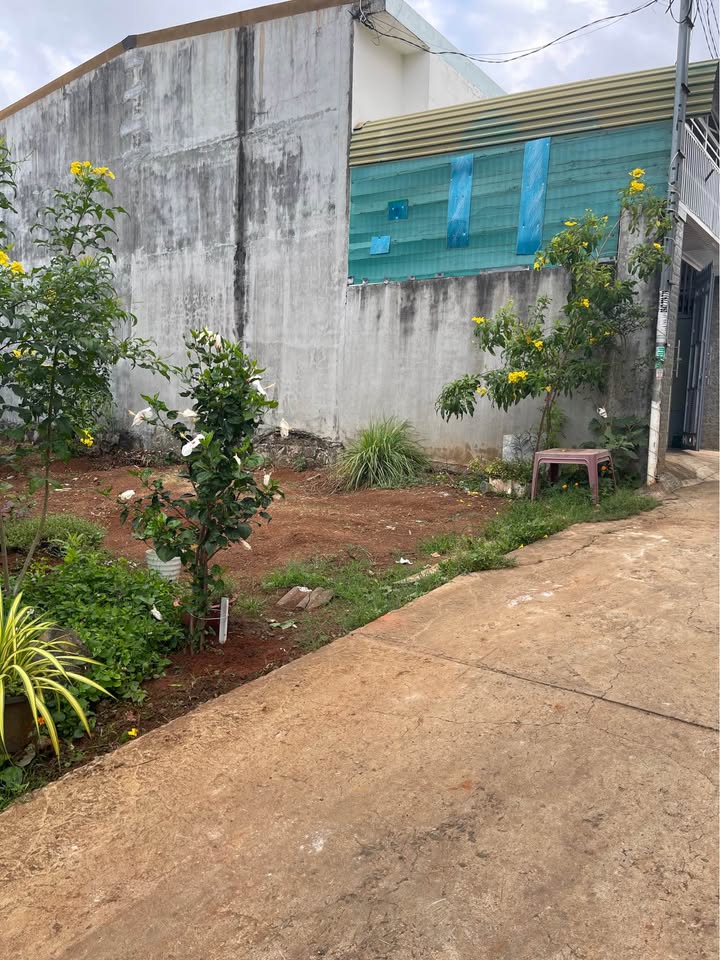 Bán đất thổ cư 40m² hẻm xe hơi Đinh Công Tráng, BMT - 2.35 tỷ