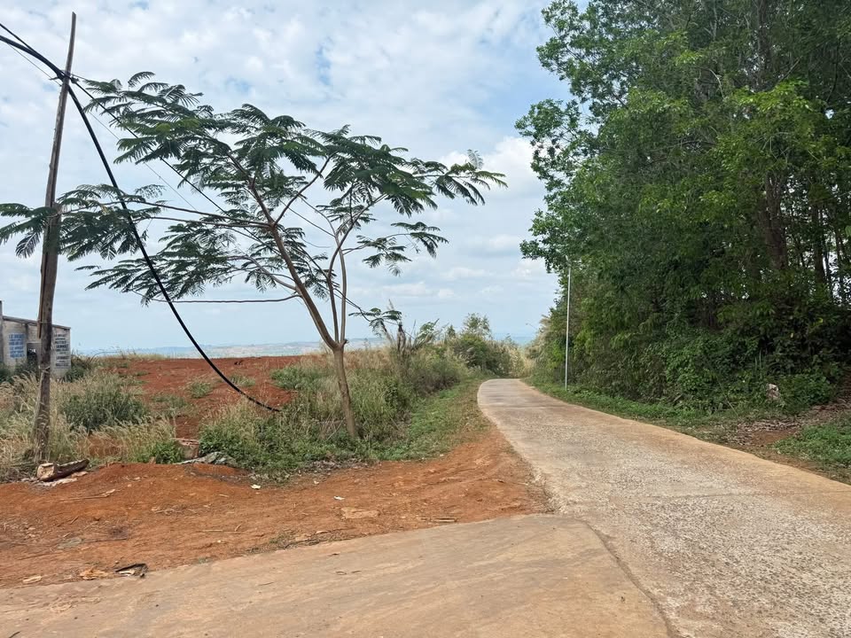 Đất Nền Đắk Mil, Đắk Nông - 360m² Sổ Đỏ, Sẵn Thổ Cư Giá 350 Triệu