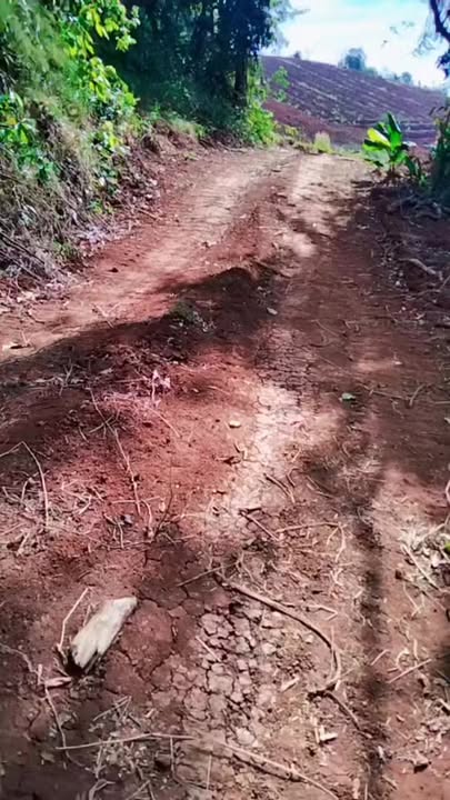 Bán Đất Rẫy 20.000m² tại Tuy Đức, Đắk Nông - Giá 850 Triệu