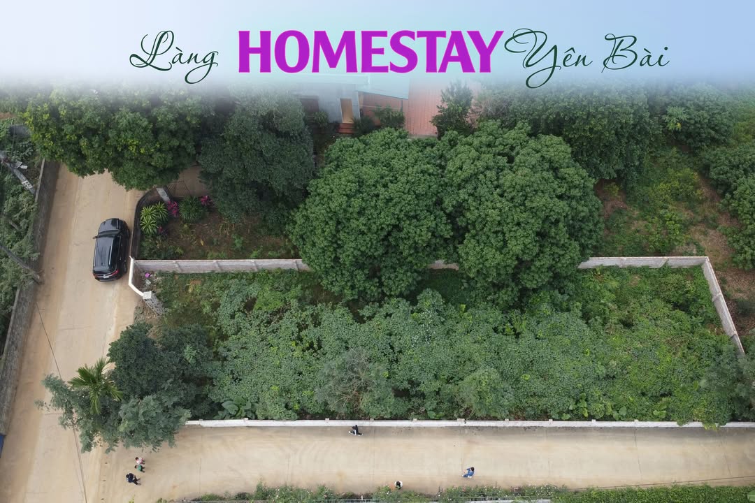 Đất nền Yên Bài Ba Vì 418.6m² - Sổ đỏ chính chủ, Tiềm năng tăng giá!