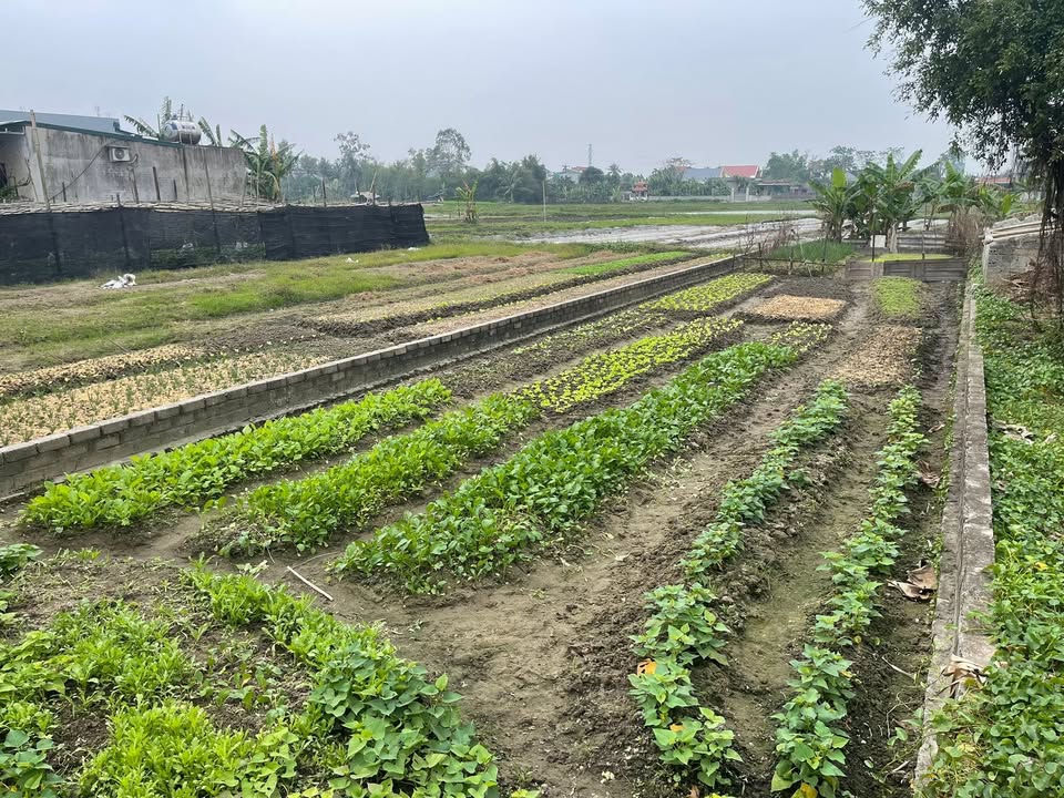 Bán Đất Quảng Lộc 150m² Sổ Đỏ Full Thổ Cư - Lô Góc 2 Mặt Tiền