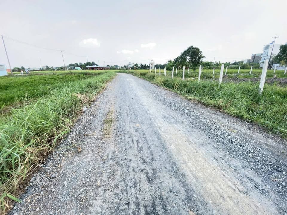 Bán Gấp Đất Thổ Cư 100m² Sát Chợ Đức Hòa - Giá Tốt 1.25 Tỷ