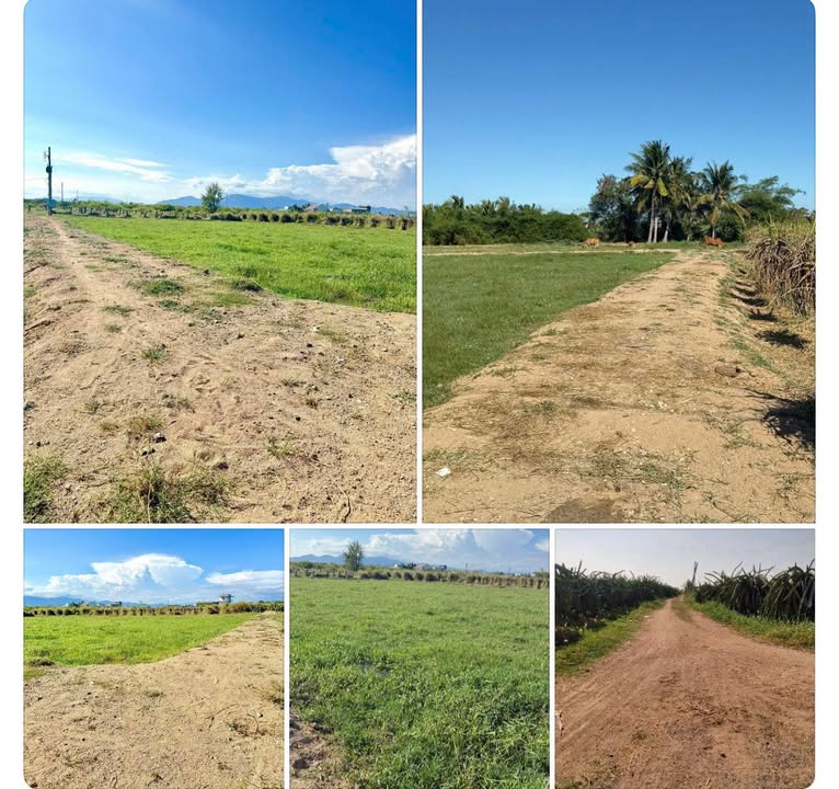 Đất nền Bình An 432m² - Ô tô tới đất, giá tốt hiếm có!