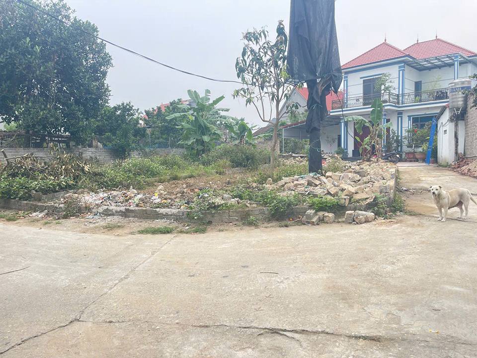 Đất nền Hiệp Hòa 137m² giá 1.7 tỷ - Tiềm năng tăng giá vượt trội!