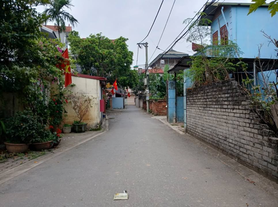 Đất nền Đại Bản Thuận An 31m² - Đường to ô tô, sổ đỏ sẵn sàng!