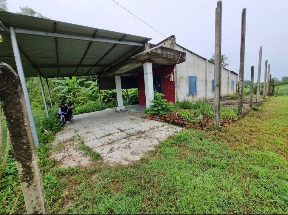 Đất nền Củ Chi 782m² có nhà cấp 4 - Sổ đỏ sẵn sàng giao dịch