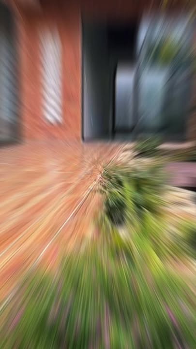 Cho thuê Villa Dĩ An 210m² - Sân vườn, hồ cá, ô tô vào nhà