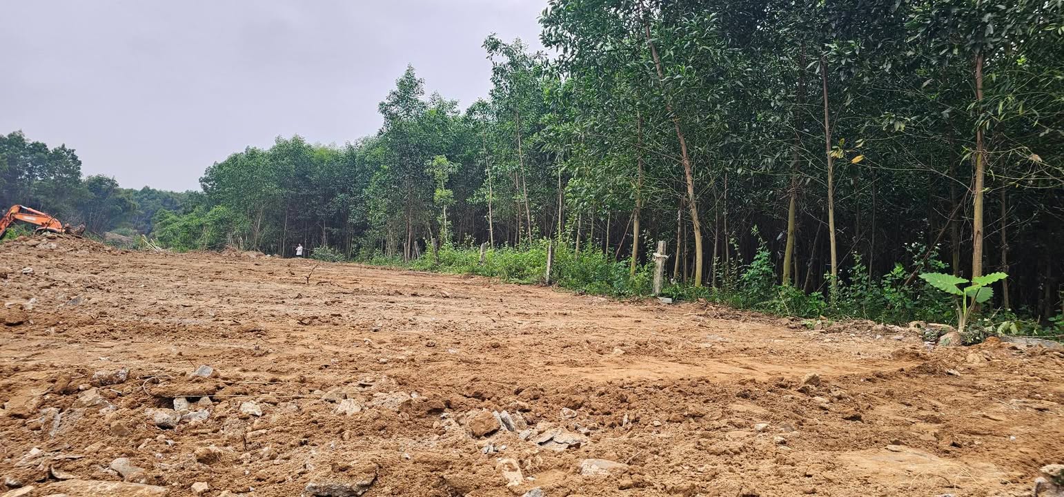 Đất Vườn Nghỉ Dưỡng View Sông 950m² - Tam Tiến, Yên Thế, Bắc Giang - Giá Hời