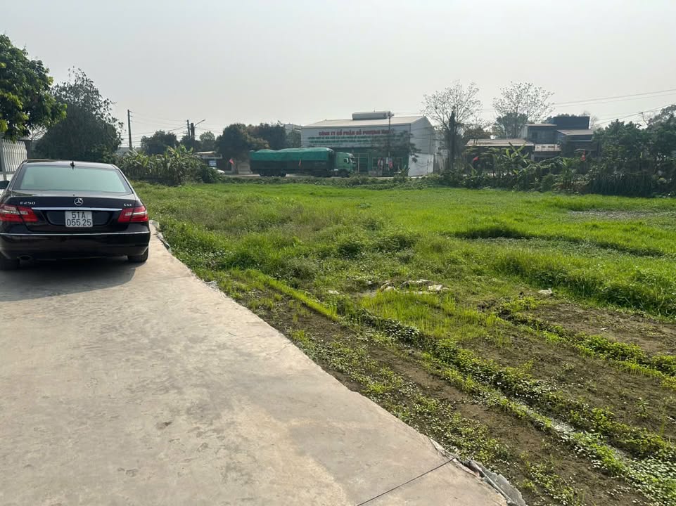 Bán đất 1.231m² mặt đường bê tông xã Tân Thành, Phú Bình - Giá tốt đầu tư