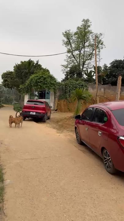 Đất nền 150m² Khải Xuân, Thanh Ba - Sổ sẵn, giá chỉ 6xx triệu