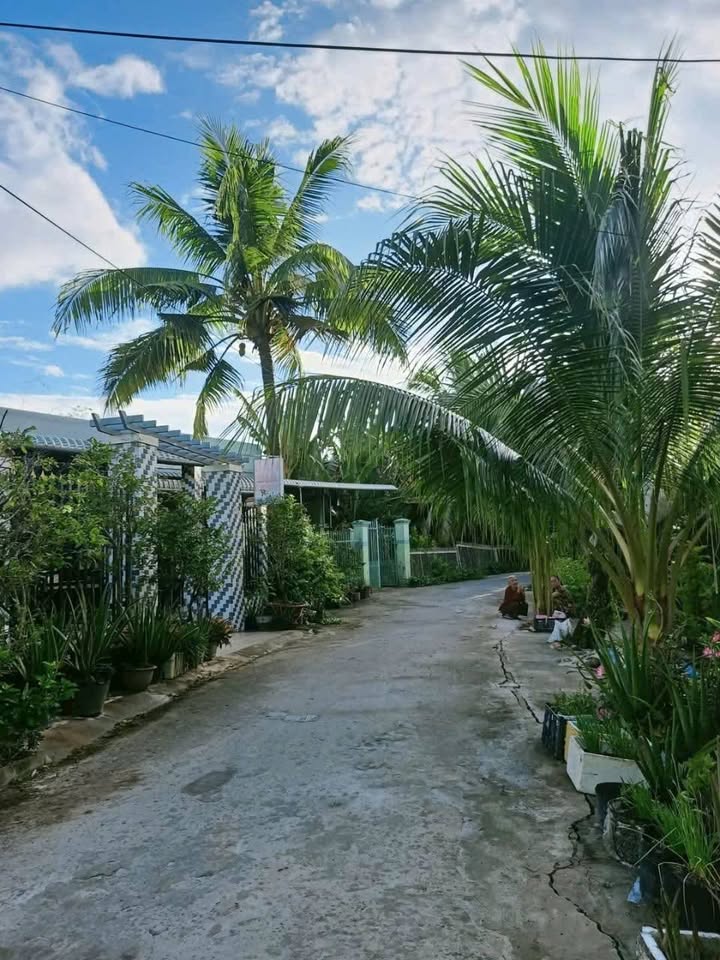 Đất nền Mỹ Hoà Hưng Long Xuyên 354m² - Tiềm năng tăng giá vượt trội!