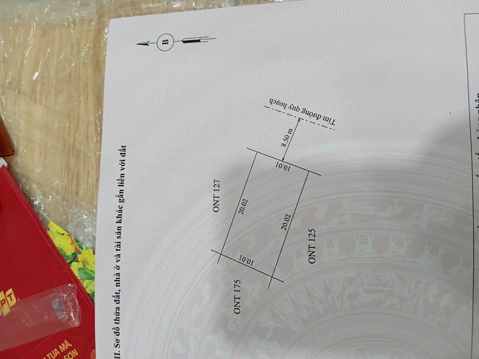 Đất Nền KQH Bồn Phổ - Lý Thần Tông, Huế 129m² - Hướng Đông Nam