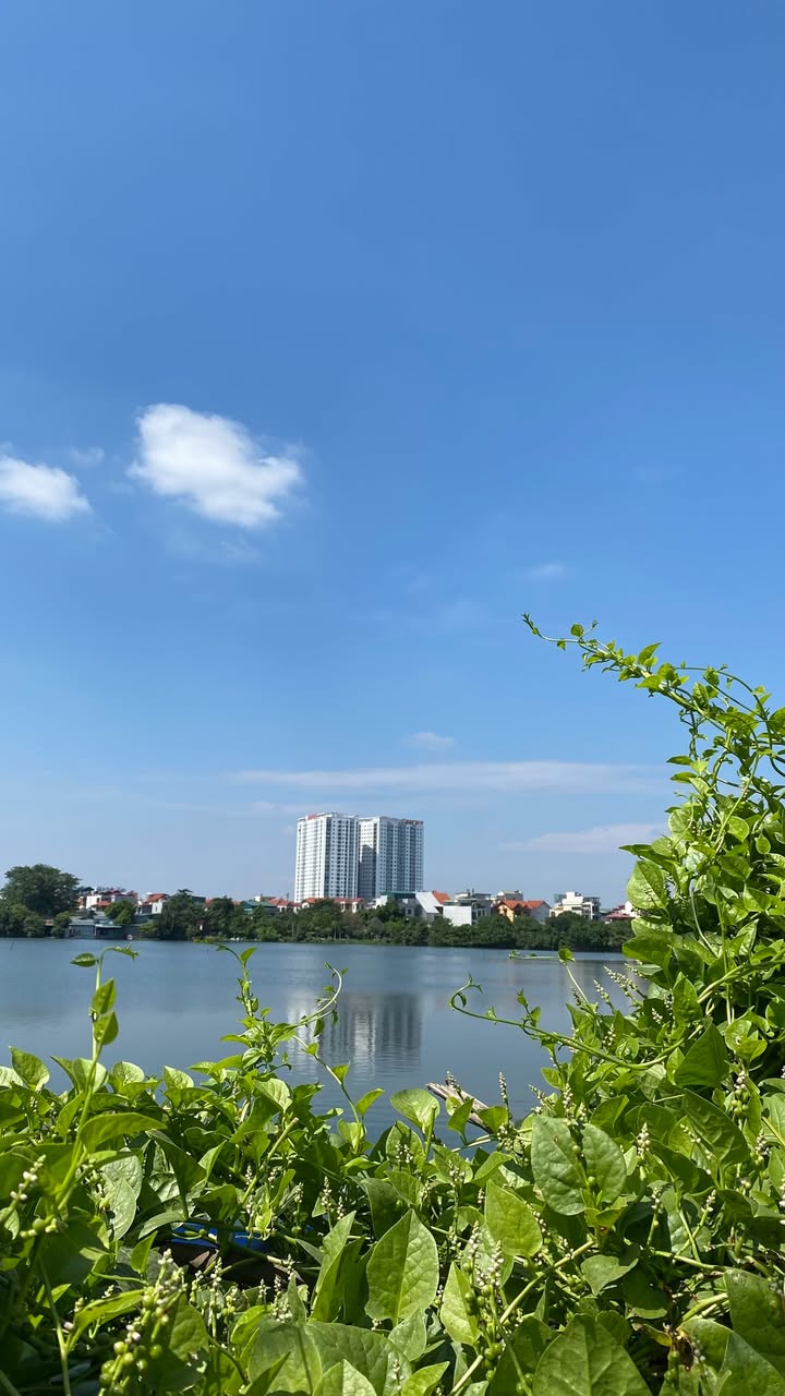 Cho thuê căn hộ 3PN Hateco Hoàng Mai - 10 Triệu/Tháng - Chính chủ