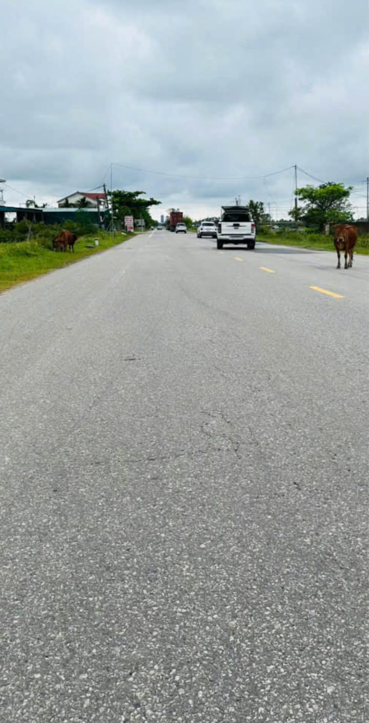 Mặt tiền Kinh doanh 160m² Tỉnh lộ 3, Hà Tĩnh - Giá 4.2 tỷ