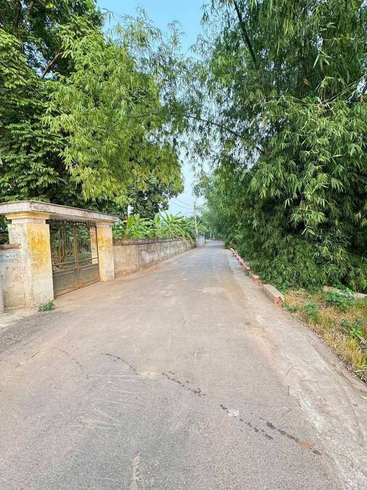 Đất Nền F0 CC View Sông Phủ Lý - Góc 2 Mặt Tiền 72m²