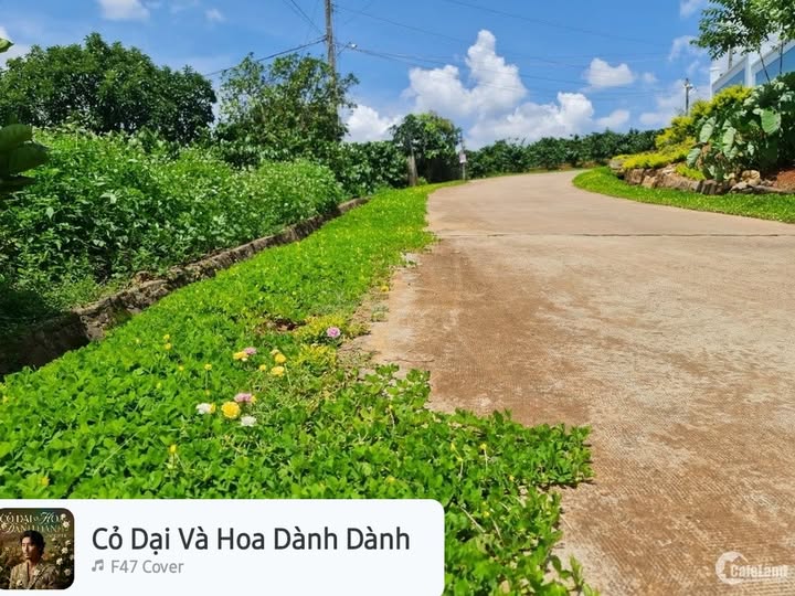 Đất nền Bình Tân, Tây Sơn 1000m² - Sổ đỏ chính chủ, giá cực tốt!