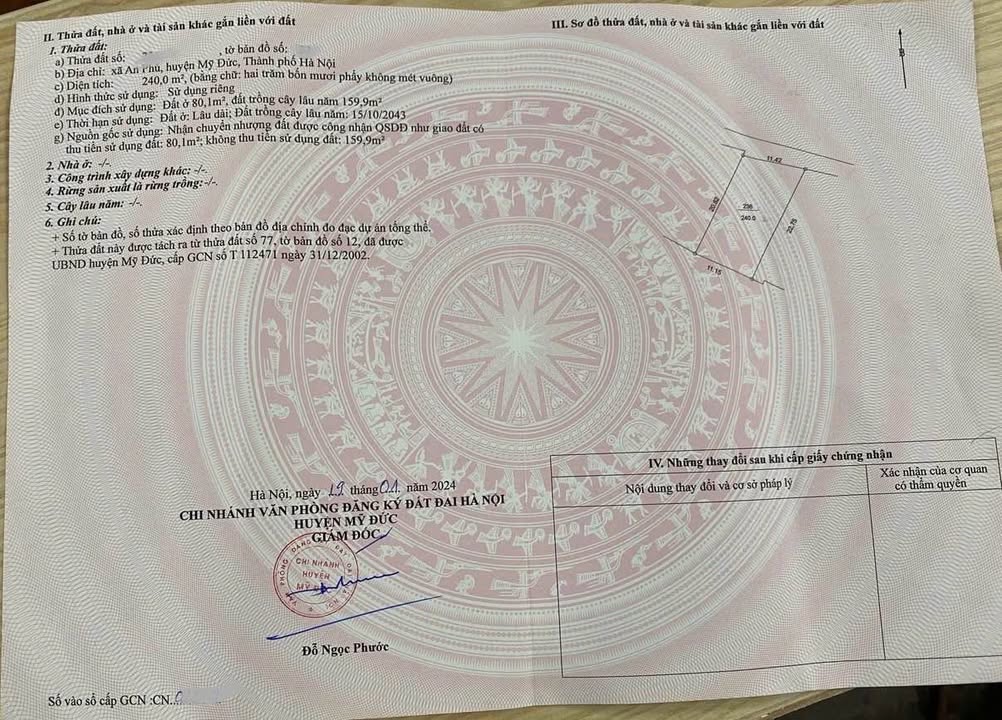 Đất nền Đại Hưng, Mỹ Đức 240m² giá 5tr/m² - Tiềm năng tăng giá!