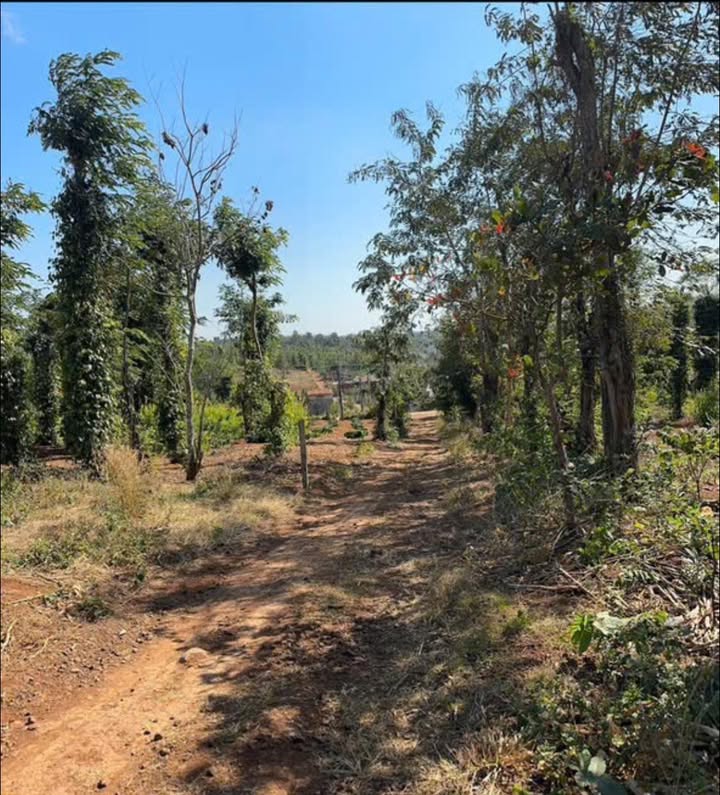 Đất nền Ea Kao BMT 150m² - Giá tốt chốt trong tuần!