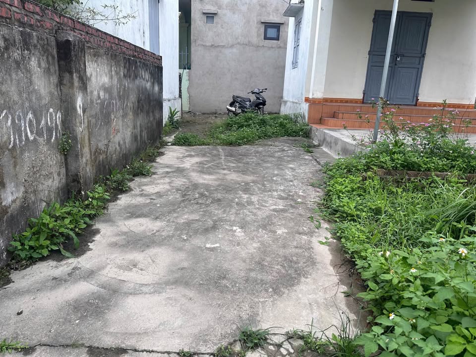 Đất nền 117.6m² An Dương, Hải Phòng - Đầu tư sinh lời hoặc xây nhà trọ