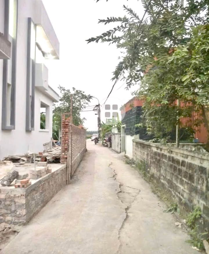 Đất Nền Thủy Nguyên - Hải Phòng 61m² - Sổ Đỏ Sẵn Sàng, Giá Tốt