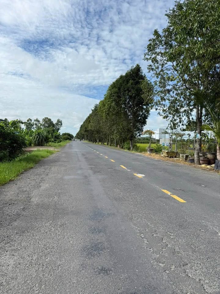 Đất Vàng Cần Thơ - 2993m² Kinh Doanh, Kho Xưởng, Nghỉ Dưỡng - MT Tỉnh Lộ 919