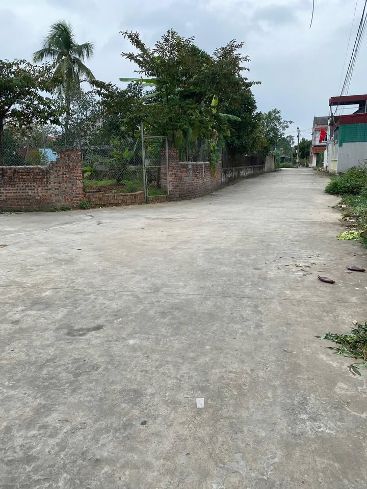 Đất nền 126m² Đoan Bái, Hiệp Hòa - Sổ hồng sẵn, ô tô tránh