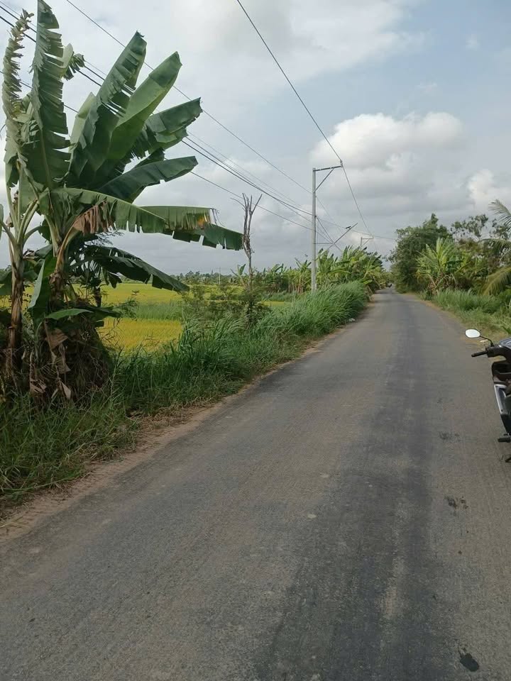 Đất Vườn 5100m² Cao Lãnh, Đồng Tháp - Giá Đầu Tư 260 Triệu