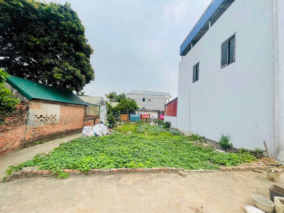 Đất nền Phúc Hòa, Phúc Thọ 41m² giá 1 tỷ - Sổ đỏ chính chủ!