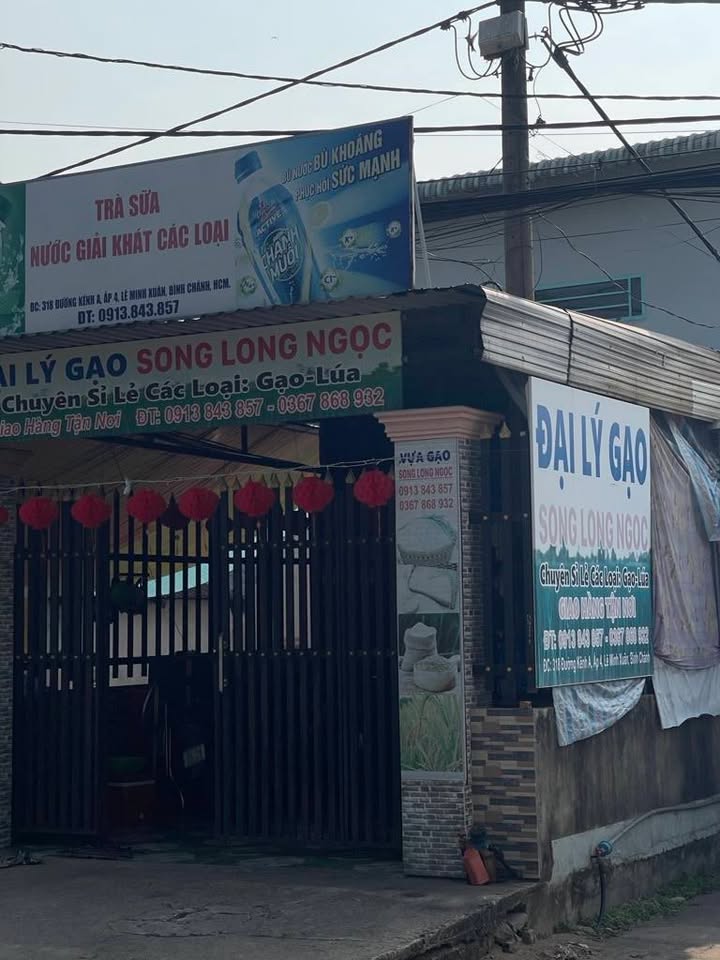 Đất nền Bình Chánh 210m² - Sổ hồng chính chủ, ô tô thông thoáng