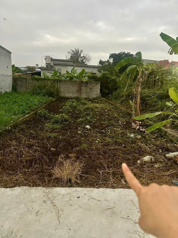 Đất nền An Lão 72m² - Sổ đỏ sẵn sàng, giá chỉ 6xx triệu