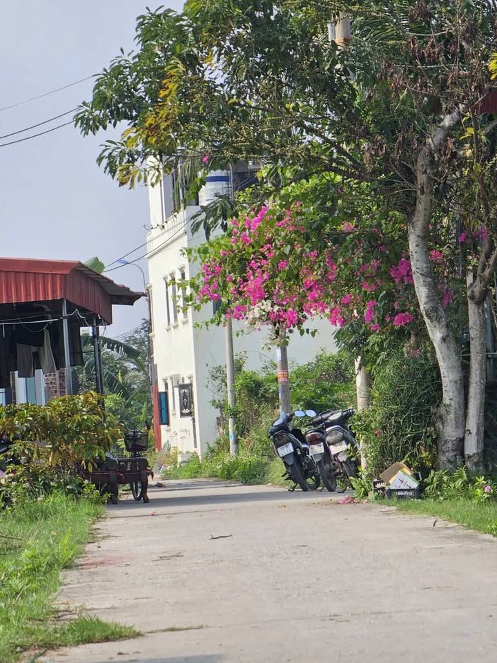 Đất Nền 100m² Tân Thành, Dương Kinh, Hải Phòng - Kinh Doanh Sầm Uất, Giá 1.9 Tỷ