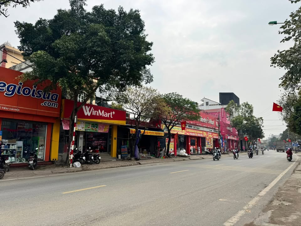 Bán Đất Tế Tiêu, Mỹ Đức 104m² - Ô tô tránh, Sổ đỏ, Giá 3 tỷ