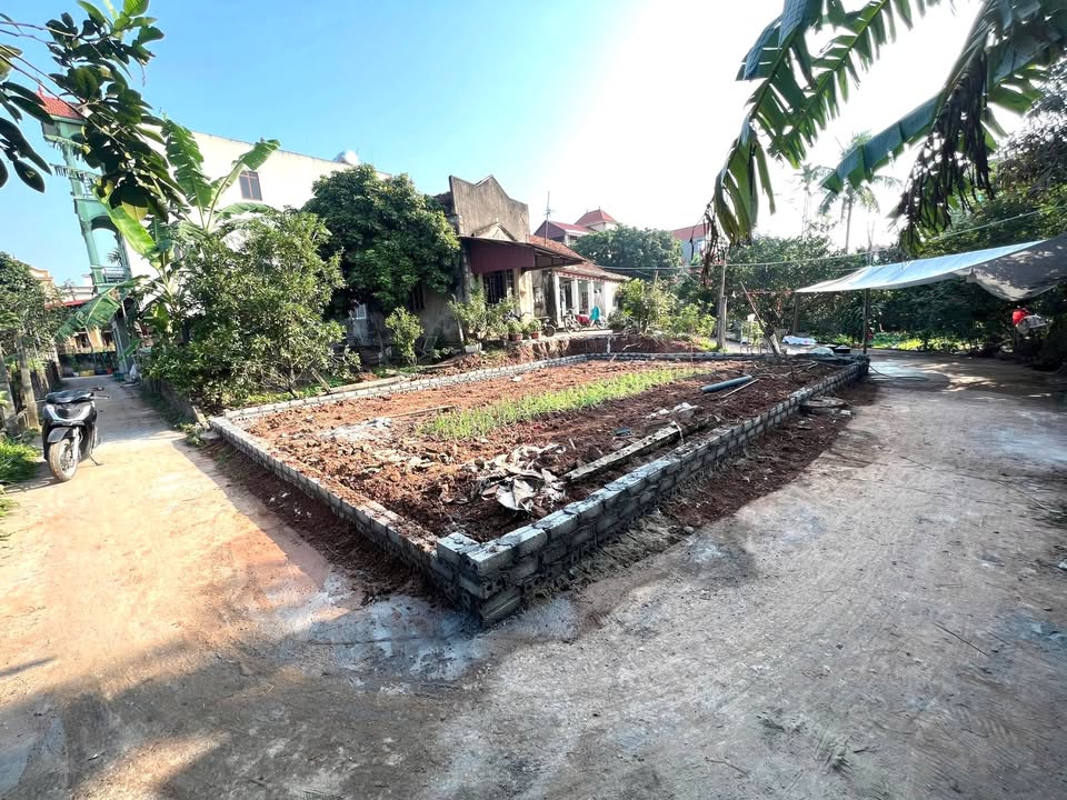 Đất Vàng Xã Tự Nhiên Thường Tín - 80m² Mặt Tiền Kinh Doanh, Oto Đỗ Cửa